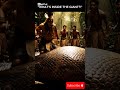 “Villagers Uncover the Truth Behind a Giant Jungle Creature — Stunning Rescue!” #usashorts #wildlife