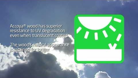accoya wood promotional video