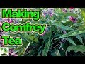 Making Comfrey Tea, Compost, Use Your Hoe And Spring Bulbs