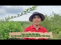 Vườn Anh Sắc Tiền Giang với nhiều tác phẩm và cây phôi đẹp.Linh sam.mai chiếu thủy là thế mạnh của a