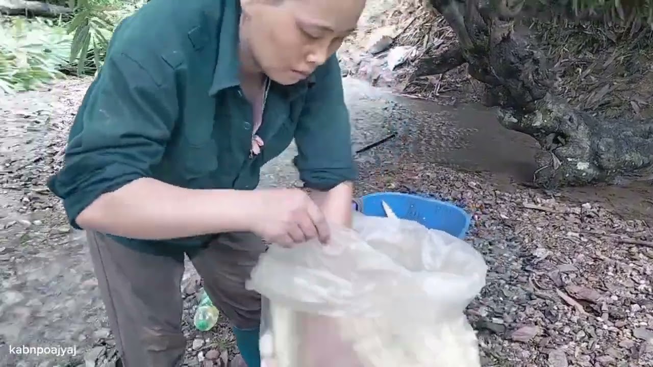 Today I went looking for bamboo shoots