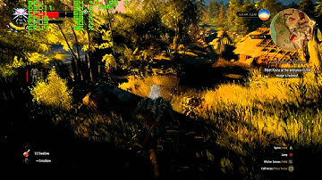 The Witcher 3 1.04 Catalyst 15.5 Beta - R9 270X Test