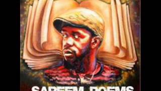 Sareem Poems &amp; Pigeon John &amp; Akil - Lower the boom (Fabio Musta Remix)