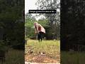 Unique Graves…  #normalizedeath #cemetery #laurenthemortician #spirit