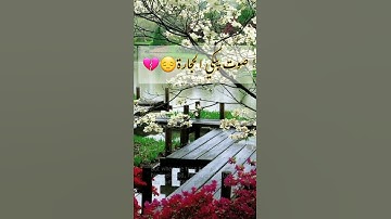 تلاوة هادئة ومؤثرة|صوت يستحق الدعم《سورة الفجر 》❤😔