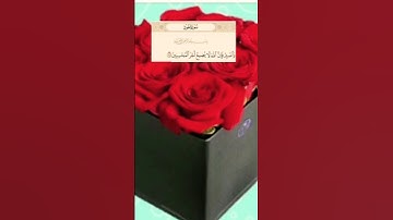 سورة هود اية(١١٥)