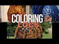 DON'T COLOR YOUR LOCS!!! (12 days of LOCS - DAY 12) | Sofineee