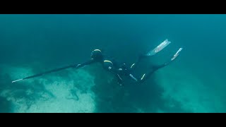 Spearfishing in Hitra, Norway 2019 (no shots)