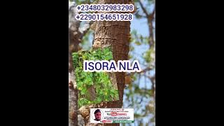 ISORA N LA 2348032983298  2290154651928  225 0506134943 #youtube #follow #like