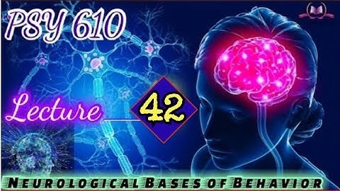 PSY610 || Lecture 42 || Neurological Bases of Behaviour || Short Lecture || VU Lectures