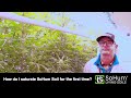 How Do I Saturate SoHum Living Soils For The 1st Time?