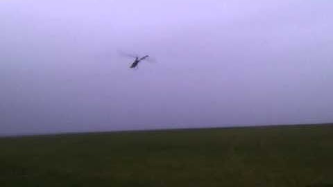 Trex 600 first loops