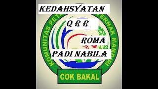61.Kedahsyatan QRR, ROMA,  Nabila, Uji ppm QRG | TESTIMONI POLA KP2M