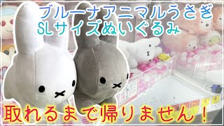 【ブルーナうさぎ】ブルーナアニマルうさぎのSLサイズぬいぐるみをお迎えしに行きました！【UFOキャッチャー】