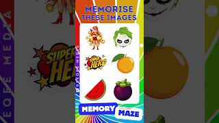 Memory Maze | Visual Memory Marathon | Neuro Challenge