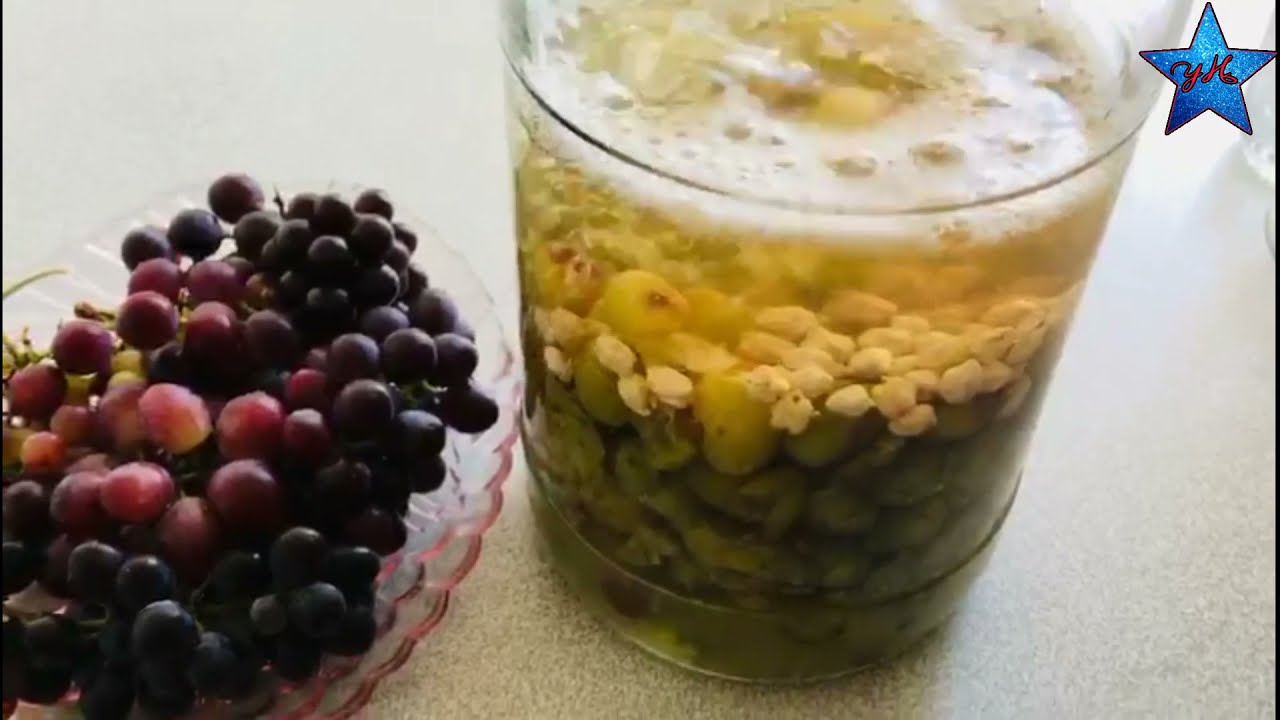 EV YAPIMI DOĞAL SİRKE NASIL YAPILIR? Ev Yapımı Üzüm Sirkesi Tarifi – Nefis Yemek Tarifleri