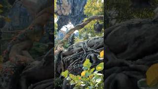 Enter the Valley of Mo’ara, the heart of Pandora. It's world is like no other. #avatarworld #disney