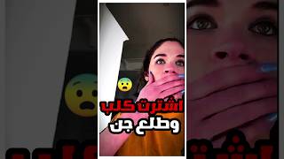 البنت هذي اشترت كلب ماكانت تعرف انه جن?youtubeshorts shortvideos saudi تيكتوك قصص غرائب reels