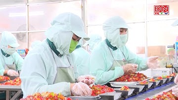 Ngành sản xuất Việt Nam khởi sắc