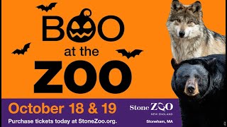 Join us for Stone Zoo's Halloween Celebration, Boo at the Zoo!