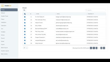 Livewire Powergrid Demo Misc - V3