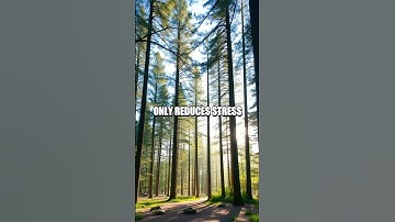 Mindful Walking: Boosting Mental Wellness Step by Step