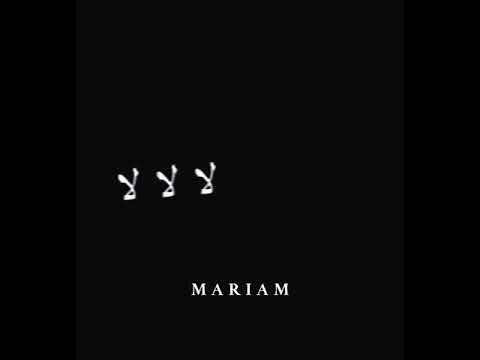 ترند لا لا لا دا كان زمان نور مار