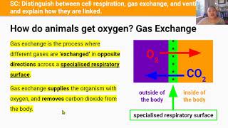 Overview of Gas Exchange (Video 1 in 2.3 Series)