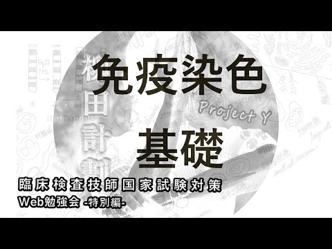 免疫染色解説(基礎)