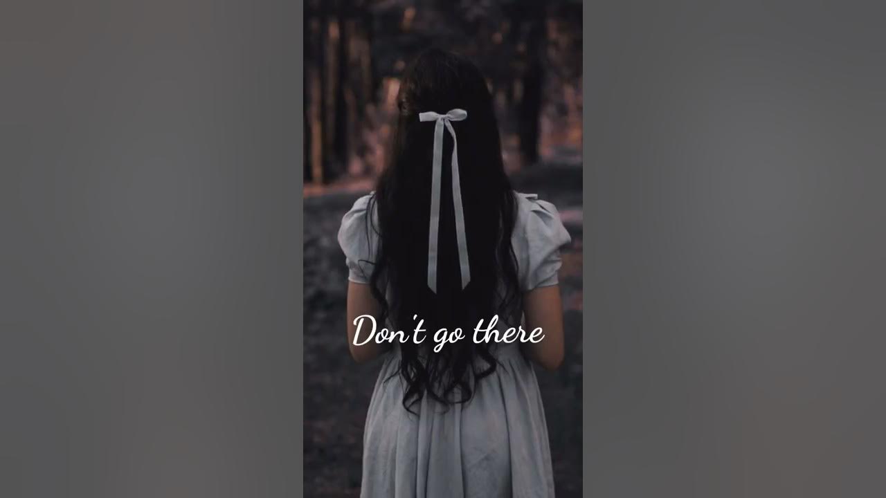 Lily- Alan walker lyrics video