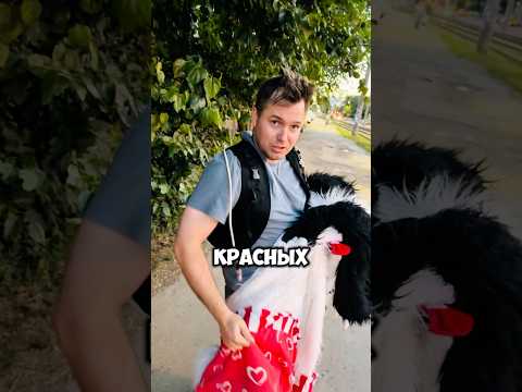 Вспотел и словно помолодел после поздравления с днем рождения!