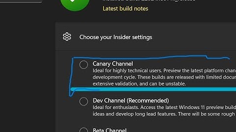 Canary to Windows 11 Insider Program (New Canary Channel)