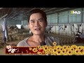 Phóng sự: Làng gốm Bình Dương hối hả vào Tết | NLĐTV