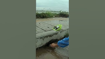 Remove Trash Clogged Drain #unclog #remove #drain #shorts