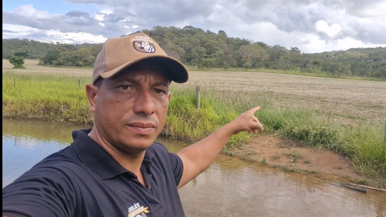 Fazenda  à Venda com 115 hectares na região de Tabatinga DF