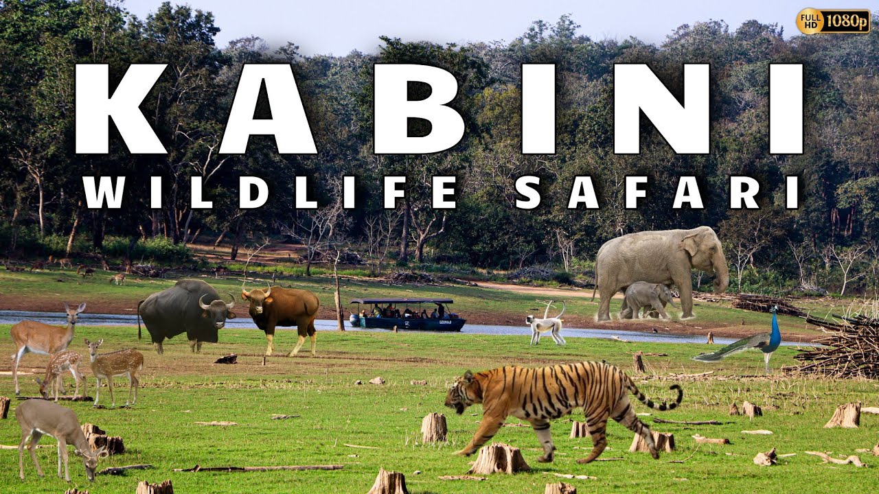 kabini safari zones
