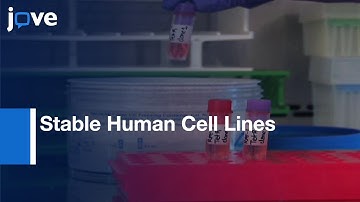 Generation: Stable Human Cell Lines With Tet-on shRNA/cDNA Expression l Protocol Preview