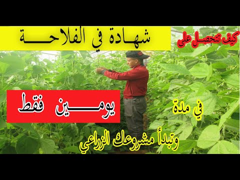 كيف تحصل على شهادة في الفلاحة في مدة يومين