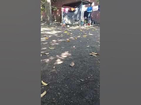 sR7 - YouTube