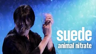 Suede - Animal Nitrate LIVE at the Royal Albert Hall