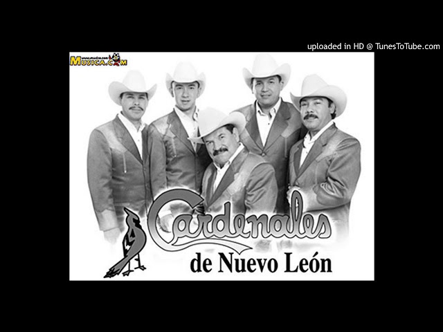 Cardenales De Nuevo Leon - Amor de Unas Horas [Ranchera] Sin Cpyright