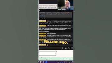 Organization Schema on Root Domain: A Quick Guide