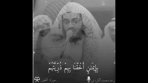 تلاوة طيبة بصوت القارئ رعد الكردي.../حالات واتس اب