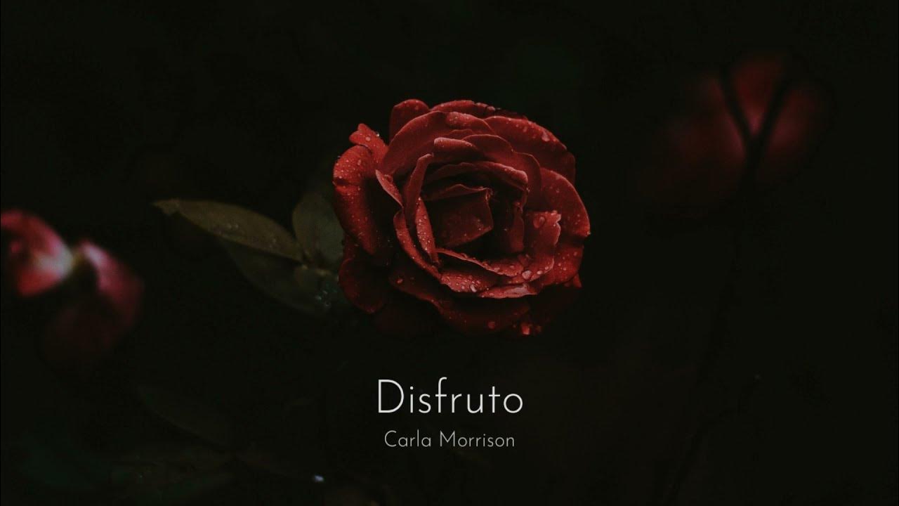 Carla Morrison - Disfruto (Letra en Español & English Translation) Carla Morrison - Disfruto (Letra en Español & English Translation)