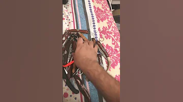مطوه قرن غزال الكنز 
