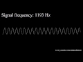 20Hz to 20kHz Human Audio Spectrum