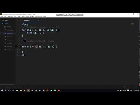 1  For loop statement