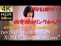 【4K60fps HDR】neoXO ｜XOXO "Shaadow of Love" feat. SHION -【Official Audio】