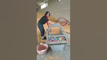 Corn vibrating screen, screening corn, wheat, soybeans, millet, etc., double layer screen,