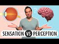 Sensation vs perception whats the difference